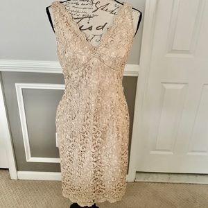 Beautiful lace cocktail dress